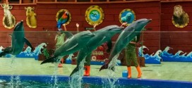 Wisata Batang : Batang Dolphin Center (BDC), Taman Safari Mini